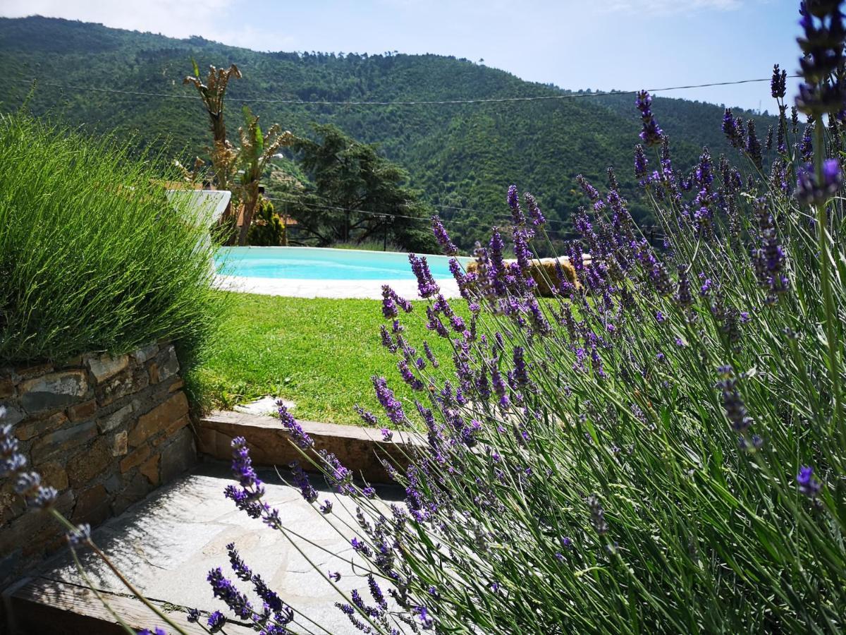 Agriturismo Ca Due Nonu Vallebona エクステリア 写真